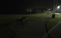 lonely-bench